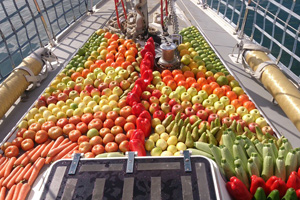 Preparations for ARC Rally 2018