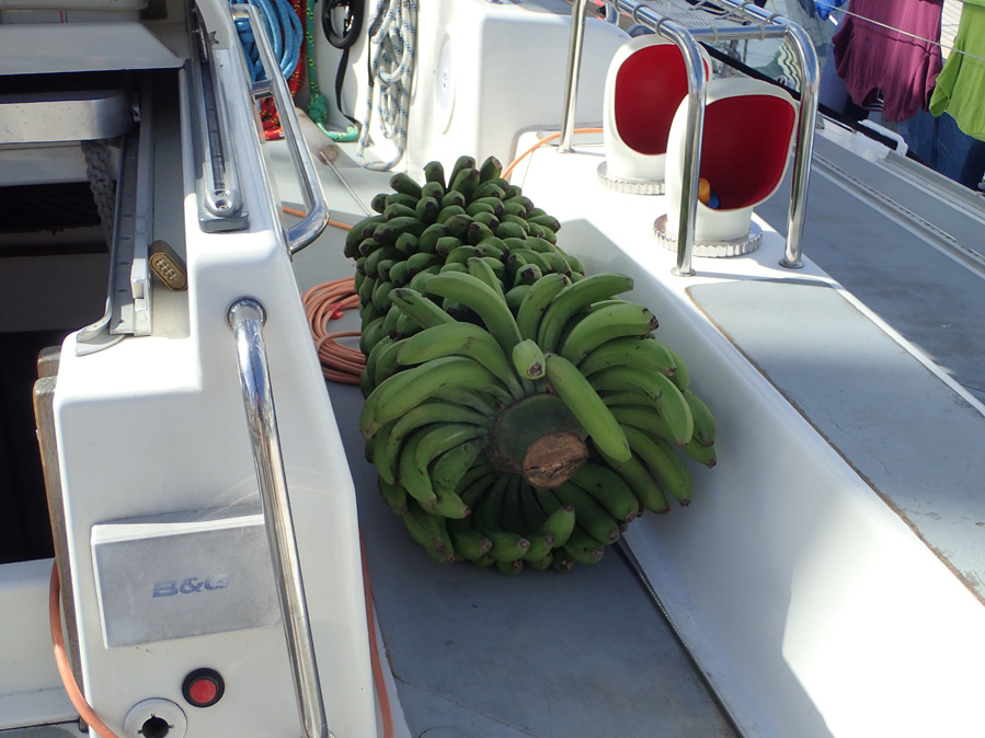 Challenger-3-bannana-hand-899