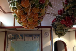 arc-2016-fruit-sacks-feature