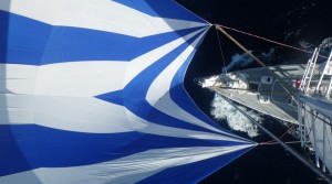 spinnaker-challenger-2 Spinnaker