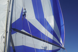 ARC 2016 – Day 15 – Of Hoist and Hoof