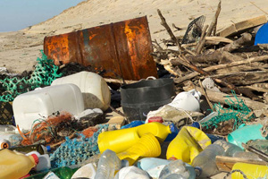 Plastic Pollution in the Sea: The Problem and Solution