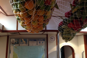 The Fruits of Our Labours Crossing the Atlantic