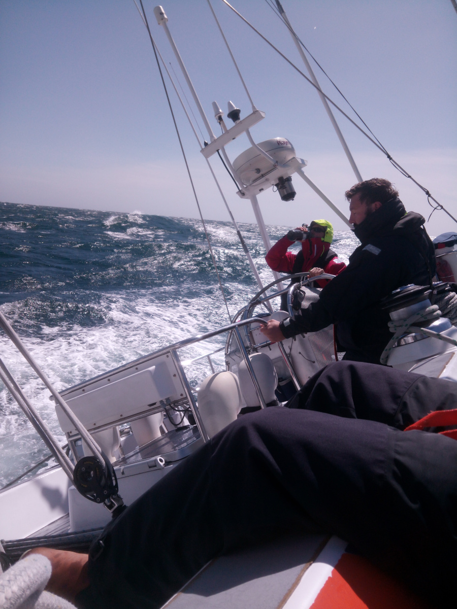 Yesterday evening saw us actually sailing, with the engine off at 1900 and the yankee 1