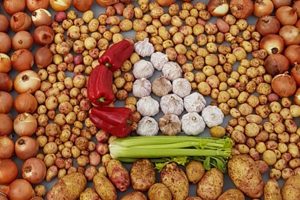 Long Voyage Fruit and Veg Preserving Experiment – Rolling Updates