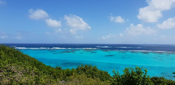 ARC 2018 Carribean Cruise