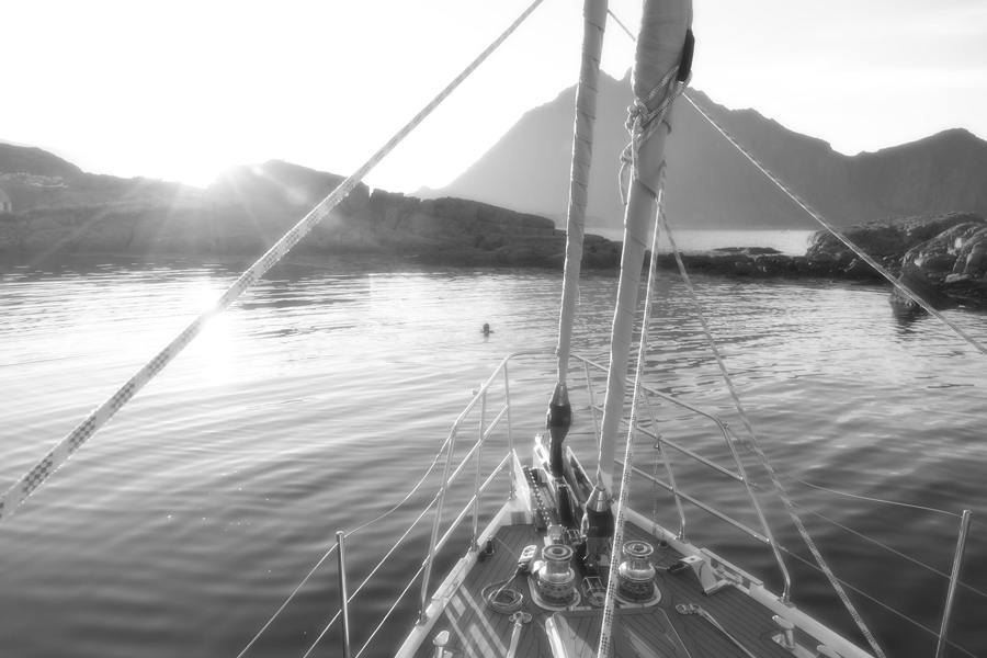 July 19 Arctic Swim Club