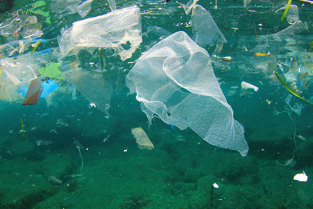 Picture-of-Plastic-Bags-in-Ocean-are-seabins-the-solution Picture of Plastic Bags in Ocean. Seabins may be the solution