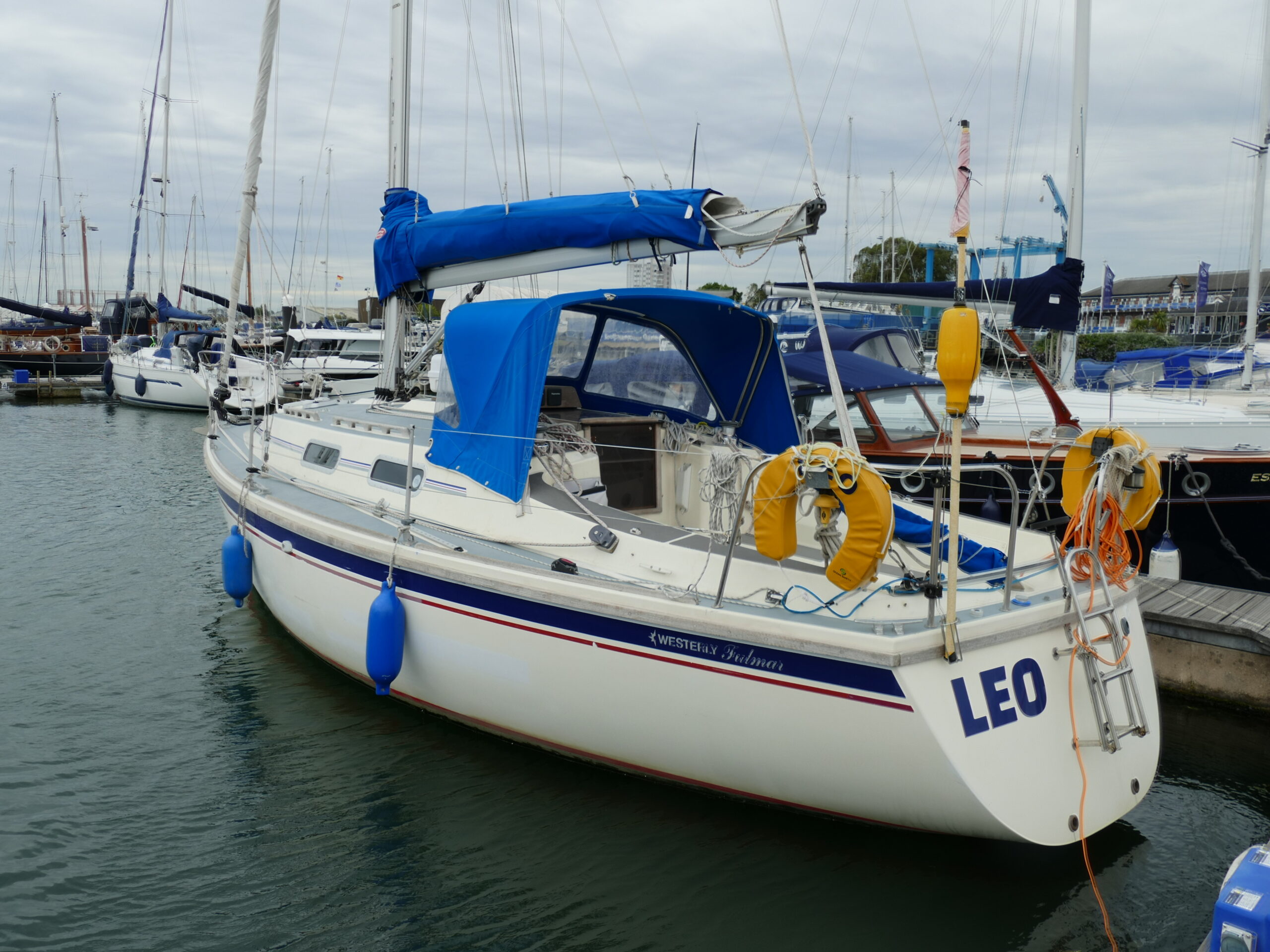 Choosing Your Helm: Tiller vs. Steering Wheel on a Sailing Yacht